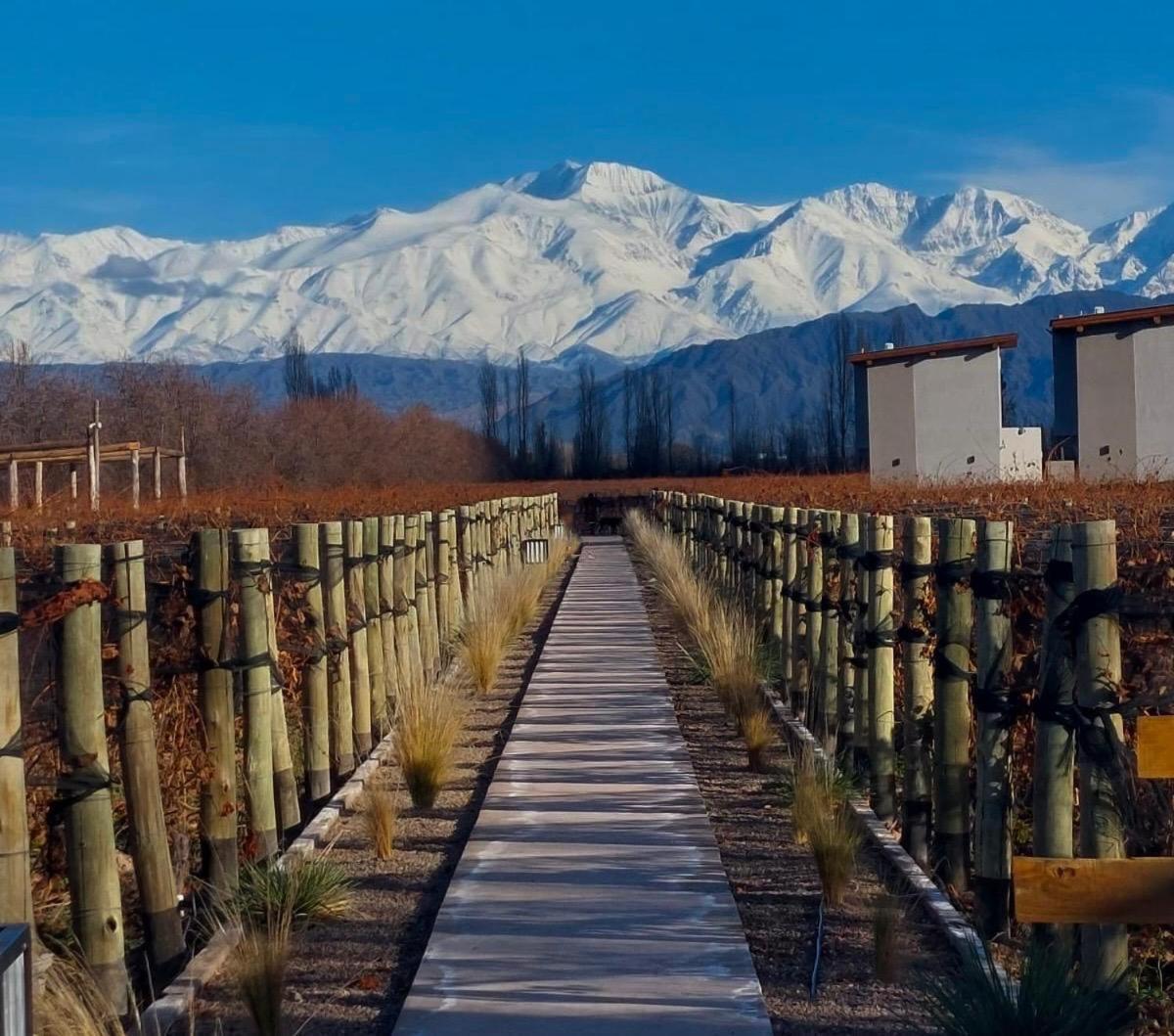 Agrelo Vines Lodge Exterior photo