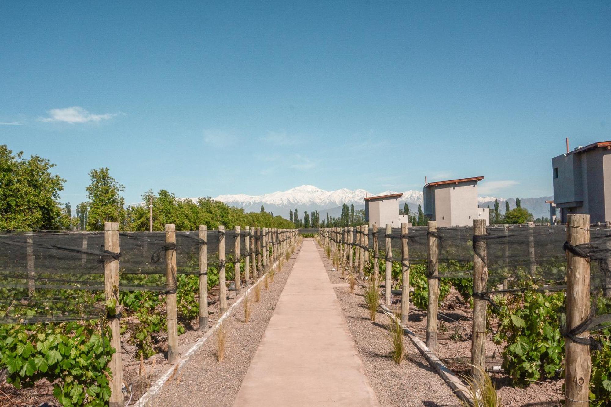 Agrelo Vines Lodge Exterior photo