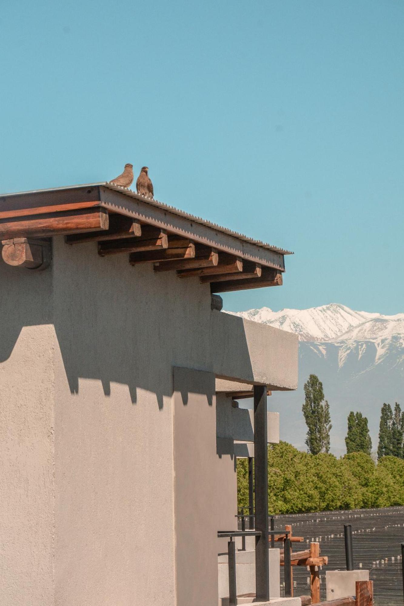 Agrelo Vines Lodge Exterior photo